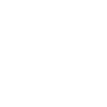icon for security services