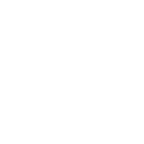 Network services icon